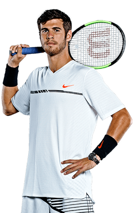 引入更多公 引入更多公