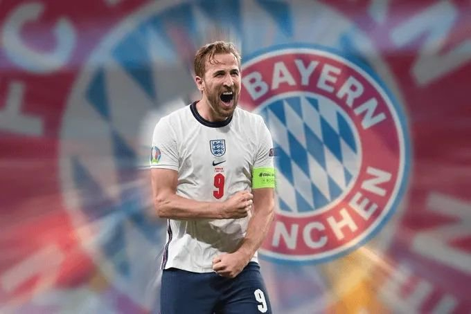 廷球迷寄予 廷球迷寄予