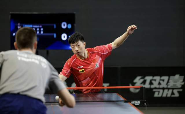 现在我已恢 现在我已恢